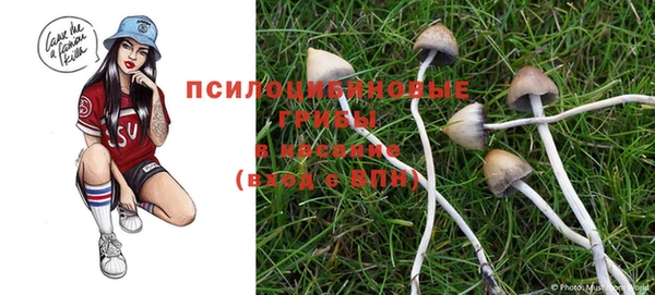 кристаллы Алексеевка