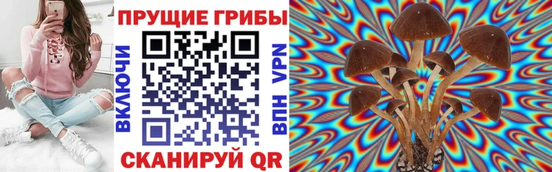 Псилоцибиновые грибы мицелий  купить наркоту  Ижевск 